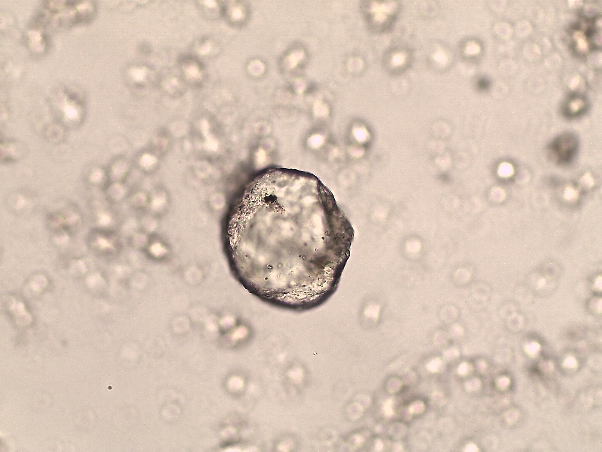 Quartz where it shouldnt be